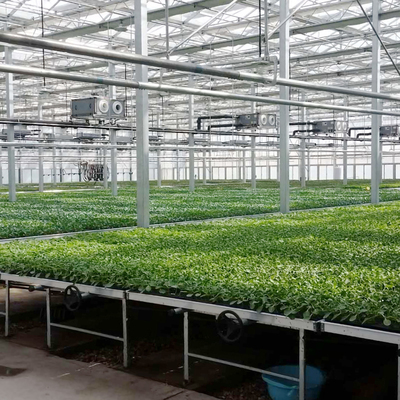植物工廠多層花卉種植架 ABS潮汐式苗盤(pán)面板引領(lǐng)高效農(nóng)業(yè)種植技術(shù)